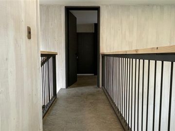 Casa Contemporánea inmersa en bosque nativo-3D/3B-El Bosque