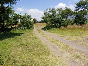 Se vende terreno en Atlixco Puebla La Trinidad Tepango