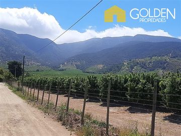 Agrícola en Venta en SECTOR LO ROJAS