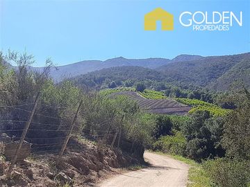 Agrícola en Venta en SECTOR LO ROJAS