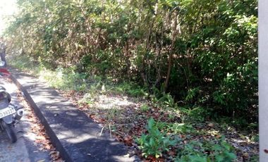 120 SQM Ready for Building Lot for Sale in Casili Consolacion Cebu