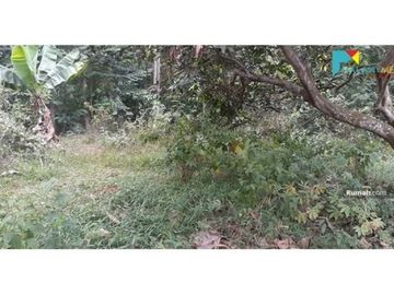 Di jual Tanah luas murah dekat tempat wisata diCiater,Subang