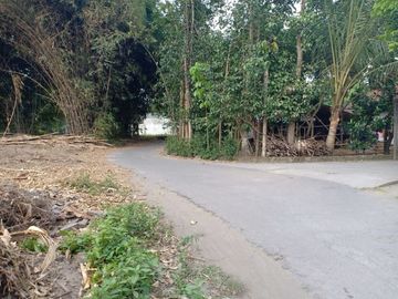 Rumah Vintage Hanya 265 Juta Dengan Type 36 di Randusari