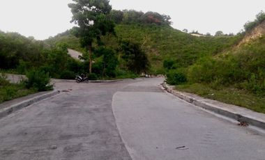 Most Affordable 270 Sqm Lot for Sale in Vista Verde Consolacion Cebu
