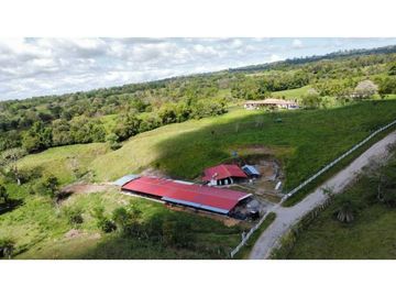 VENDO FINCA DE 22 HECTAREAS CON HERMOSA CASA BUGABA