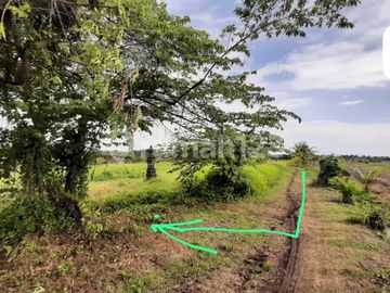 Tanah.sawah Subur Dengan.view Yang.indah