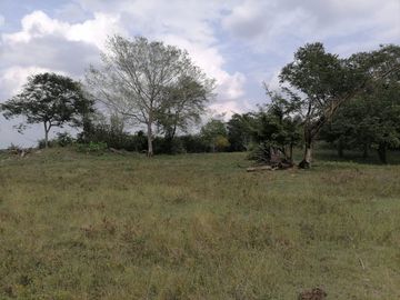 Venta de Terreno en San Joaquín, Campeche.