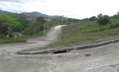 Overlooking Corner Lot 290 Sqm for Sale in Greenwoods near Talamban Cebu City with Mountain View