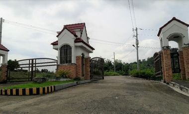 Overlooking Corner Lot 290 Sqm for Sale in Greenwoods near Talamban Cebu City with Mountain View