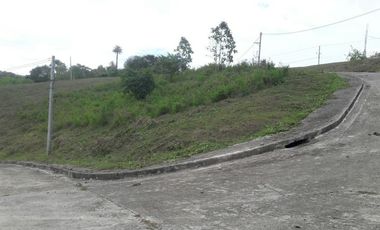 Overlooking Corner Lot 290 Sqm for Sale in Greenwoods near Talamban Cebu City with Mountain View
