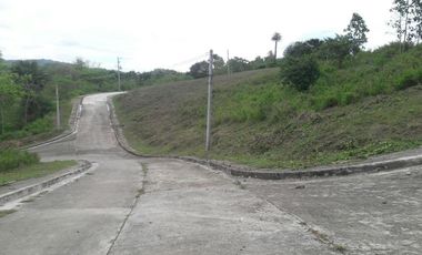 Overlooking Corner Lot 290 Sqm for Sale in Greenwoods near Talamban Cebu City with Mountain View