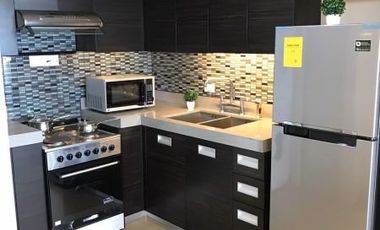 Condominium 1BR Flat Condo for Rent / Lease in Edades Tower and Garden Villas Rockwell Center Makati City
