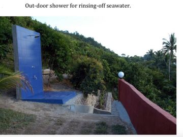 1.65 Hectares (4.08 acres), a beachfront estate with two (2) homes, a resident and a guest house, corporate-owned, situated in Sitio South Tagpao, Con