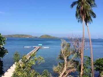 1.65 Hectares (4.08 acres), a beachfront estate with two (2) homes, a resident and a guest house, corporate-owned, situated in Sitio South Tagpao, Con