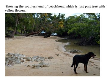 1.65 Hectares (4.08 acres), a beachfront estate with two (2) homes, a resident and a guest house, corporate-owned, situated in Sitio South Tagpao, Con