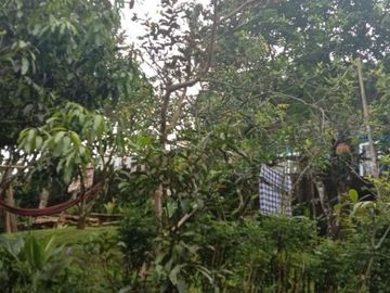 Villa Dijual di Bogor Bogor