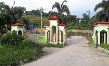 Very Affordable 150 Sqm Lot for Sale in San Vicente, Liloan Cebu