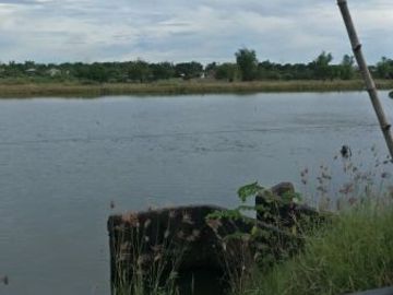 2 Well-developed fish ponds for sale