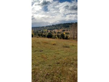 EN VENTA CHACRA DE 21 HA CON CASA EN EL BOLSÓN CH-110