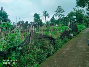 Tanah karangpandan 300m 500jt view cantik