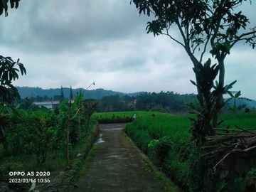Tanah karangpandan 300m 500jt view cantik