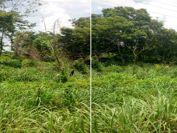 Terreno en venta en Calakmul, Campeche  2,234 Hectáreas