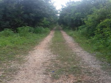 Terreno en venta en Calakmul, Campeche  2,234 Hectáreas