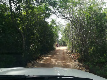 Terreno en venta en Calakmul, Campeche  2,234 Hectáreas