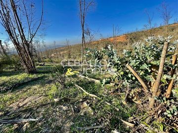 Parcela en venta en Limache