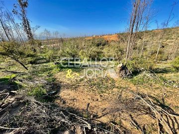 Parcela en venta en Limache