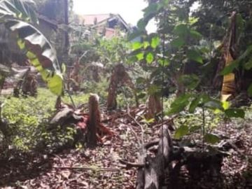 Raw Lot 1,895 sqm in Pajo Lapulapu City