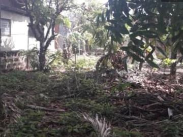 Raw Lot 1,895 sqm in Pajo Lapulapu City