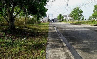 167 Sqm Corner Lot for Sale in Talisay Cebu with mountain view