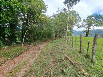 VENDO LOTE DE 6600M2 DERECHO POSESORIO ROVIRA