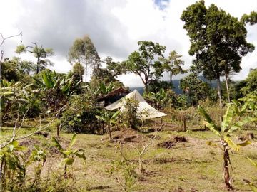 VENDO LOTE DE 6600M2 DERECHO POSESORIO ROVIRA