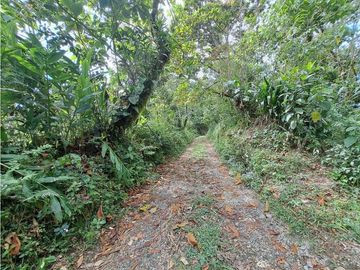 VENDO LOTE DE 6600M2 DERECHO POSESORIO ROVIRA