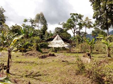 VENDO LOTE DE 6600M2 DERECHO POSESORIO ROVIRA