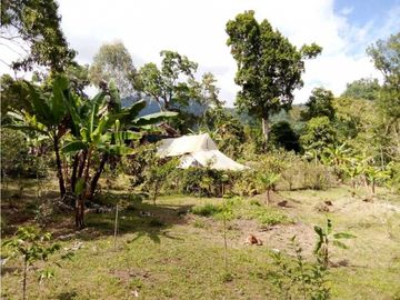 VENDO LOTE DE 6600M2 DERECHO POSESORIO ROVIRA