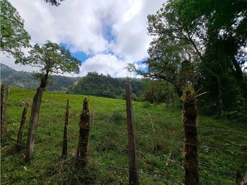 VENDO LOTE DE 6600M2 DERECHO POSESORIO ROVIRA