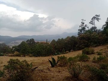 Venta de terreno en el Guajolote. A 20min de Real del Monte Hgo