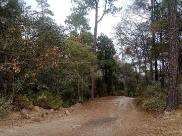 Venta de terreno en el Guajolote. A 20min de Real del Monte Hgo