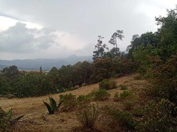 Venta de terreno en el Guajolote. A 20min de Real del Monte Hgo