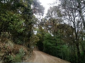 Venta de terreno en el Guajolote. A 20min de Real del Monte Hgo