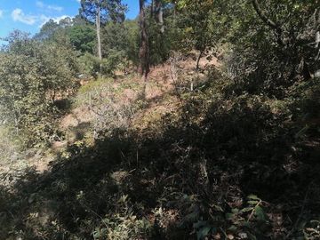 VENTA DE LOTE DE 10.0 M X 20.0 M EN LAS PERITAS  SAN JOAQUIN QUERETARO