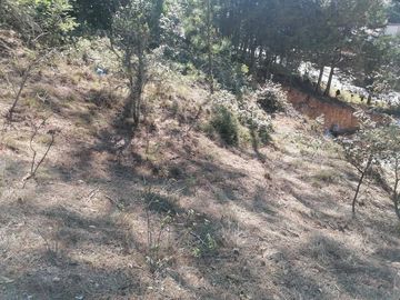 VENTA DE LOTE DE 10.0 M X 20.0 M EN LAS PERITAS  SAN JOAQUIN QUERETARO
