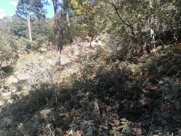 VENTA DE LOTE DE 10.0 M X 20.0 M EN LAS PERITAS  SAN JOAQUIN QUERETARO