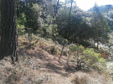 VENTA DE LOTE DE 10.0 M X 20.0 M EN LAS PERITAS  SAN JOAQUIN QUERETARO