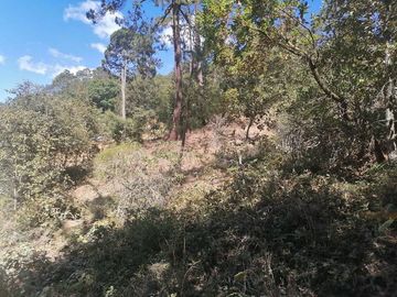 VENTA DE LOTE DE 10.0 M X 20.0 M EN LAS PERITAS  SAN JOAQUIN QUERETARO