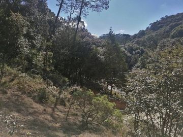 VENTA DE LOTE DE 10.0 M X 20.0 M EN LAS PERITAS  SAN JOAQUIN QUERETARO