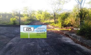 154 Sqm Overlooking Lot for Sale in Lamac Consolacion Cebu